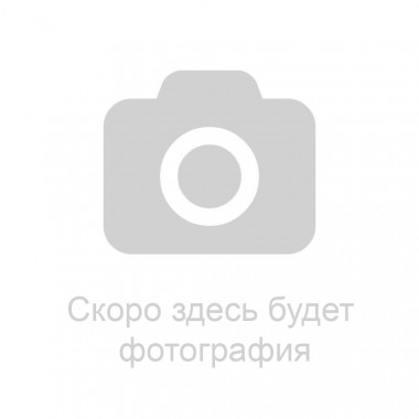 Звездочка ведущая пром. вала ЗМЗ-40904, 40524, 40525 (1 ряд)